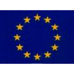 W4 Small Rectangle Euro Sticker