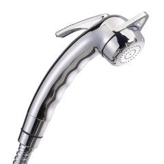 Reich Charisma Adjustable Chrome Shower Head with Lever