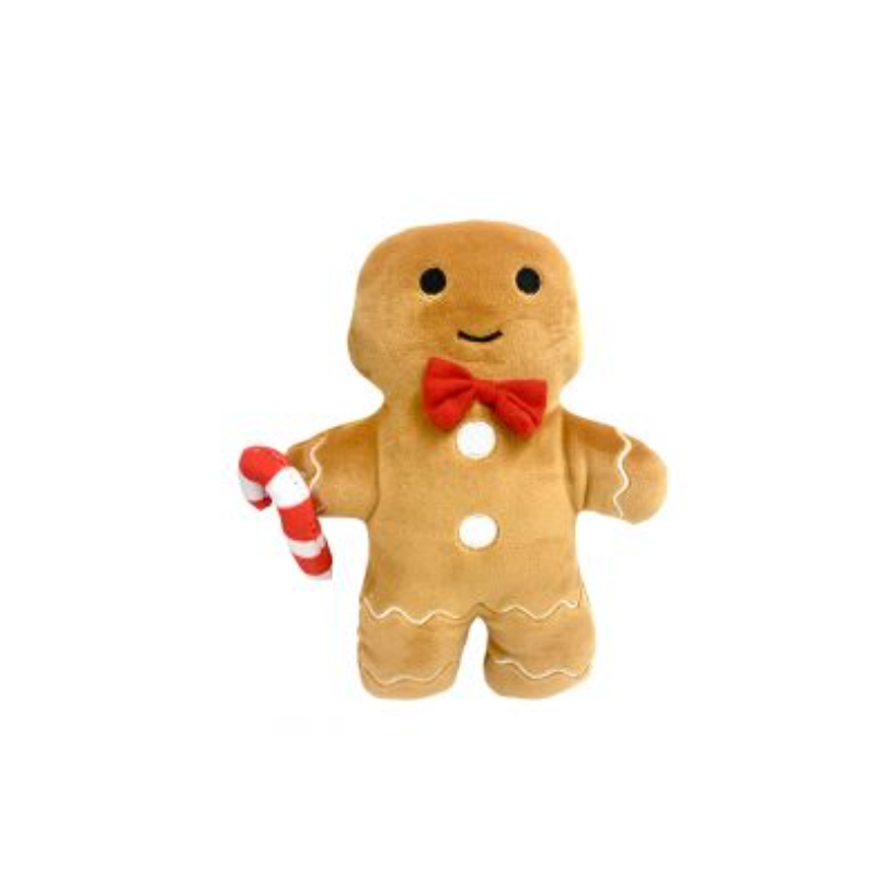 Ginger Fred