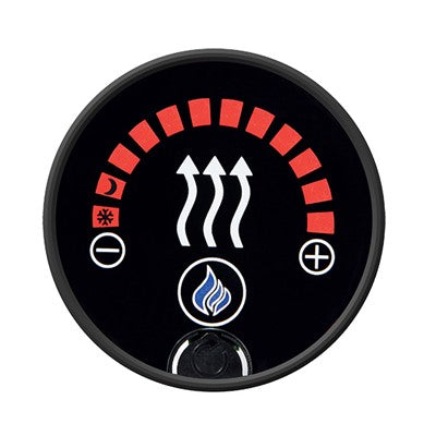 Whale HeatAir Gas Only Heater Control Panel