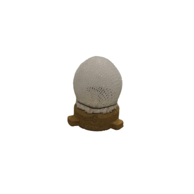 Truma Screw Mantle NG